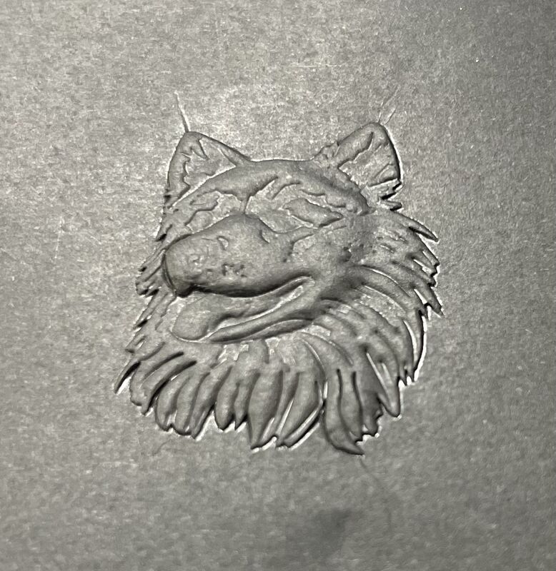 دستگاه 3D Golding اتوماتیک فولی گرم برای پر کردن کاغذ بسته بندی